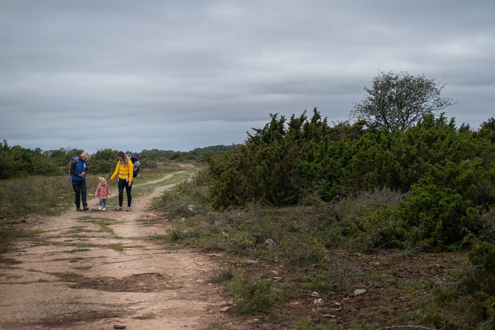 Een wandeling op het kalkstenen plateau Stora Alvaret in het zuiden van land